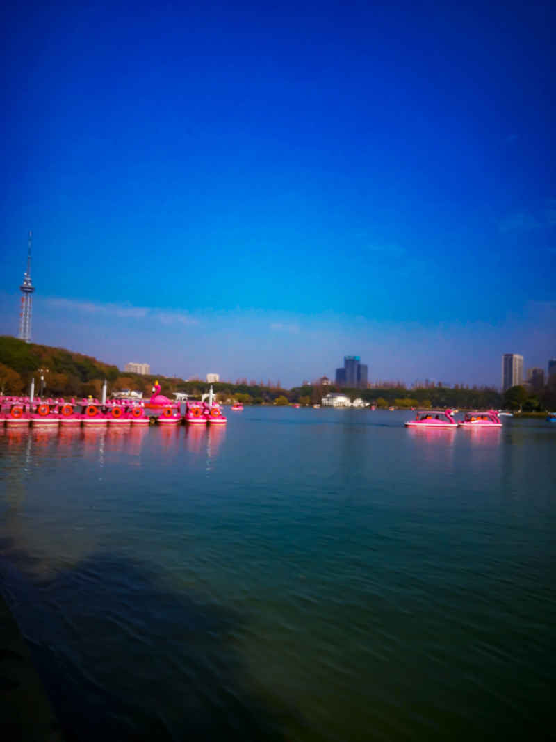 湖南长沙烈士公园年嘉湖风景摄影图