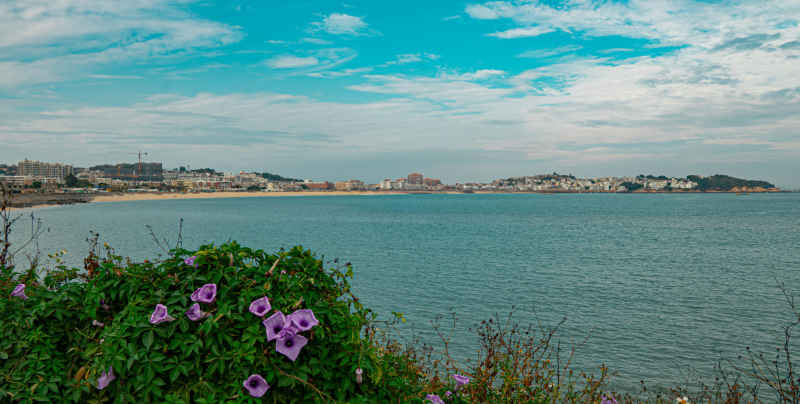 海岛