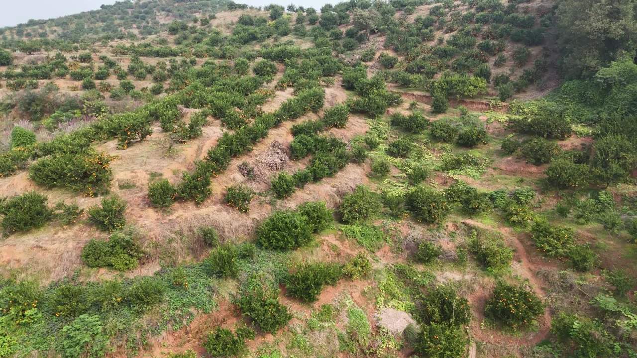 山地航拍：雾中村落