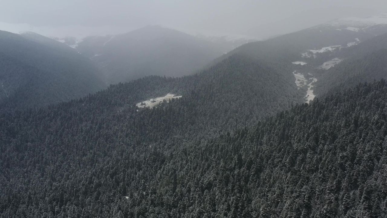航拍大雪纷飞的鲁朗林海