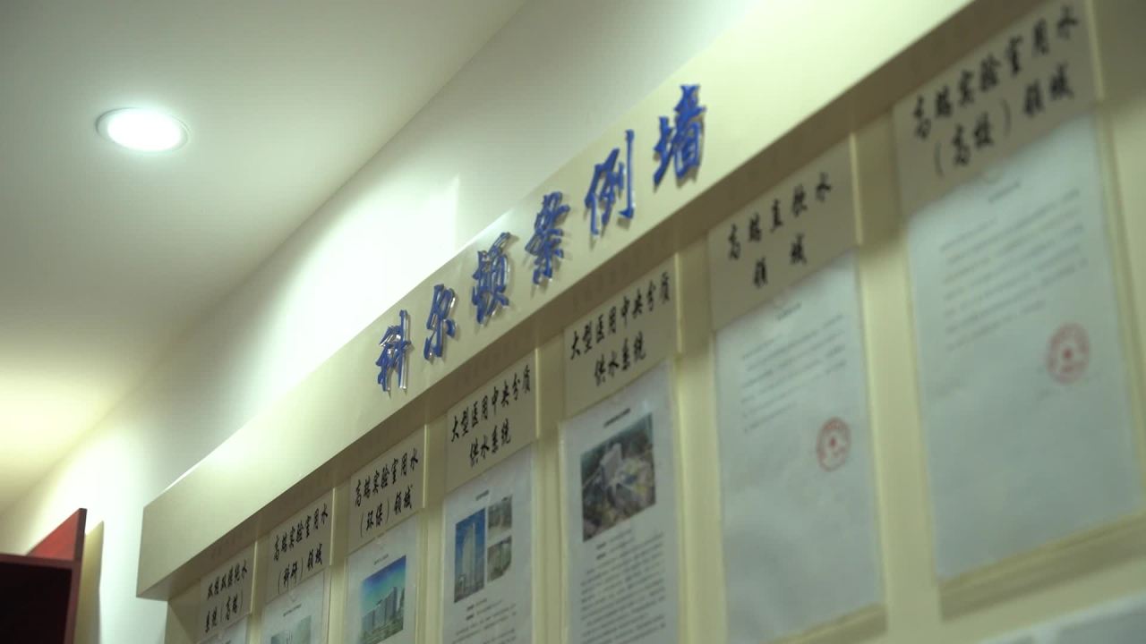 公司 31