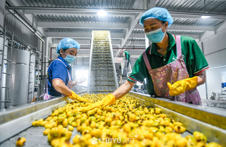 贵州刺梨加工 4