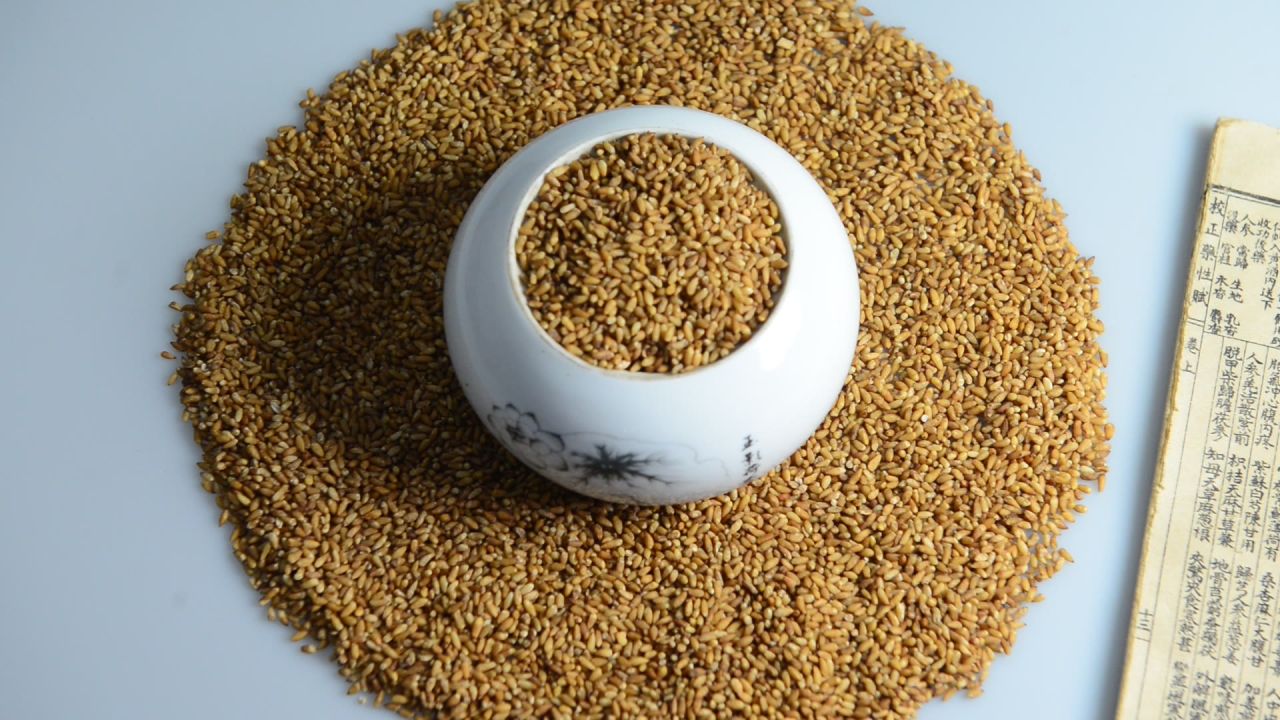中药柏子仁 1