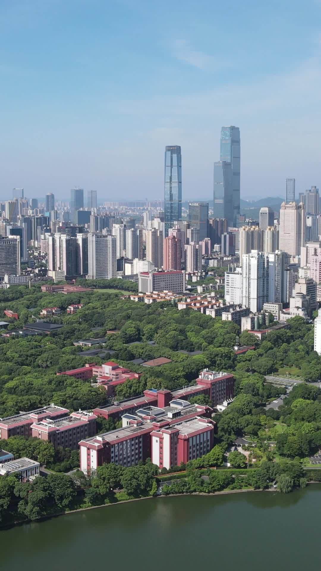 都市绿洲：现代与自然的和谐共存