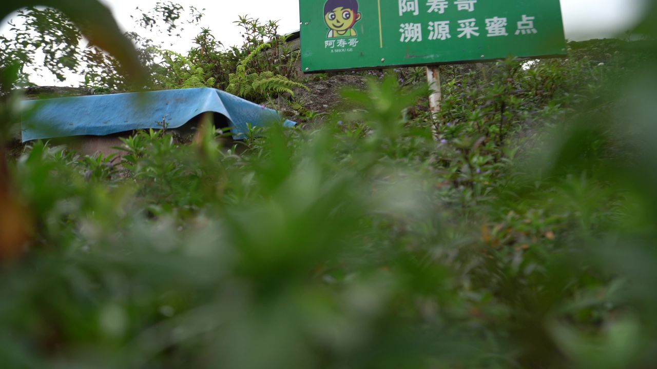 产业（龙胆草） 12