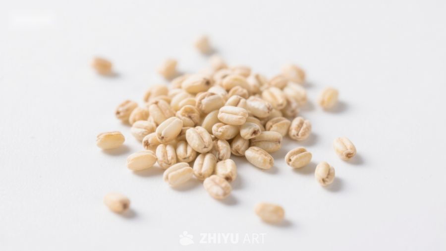 白色背景上的麦粒特写