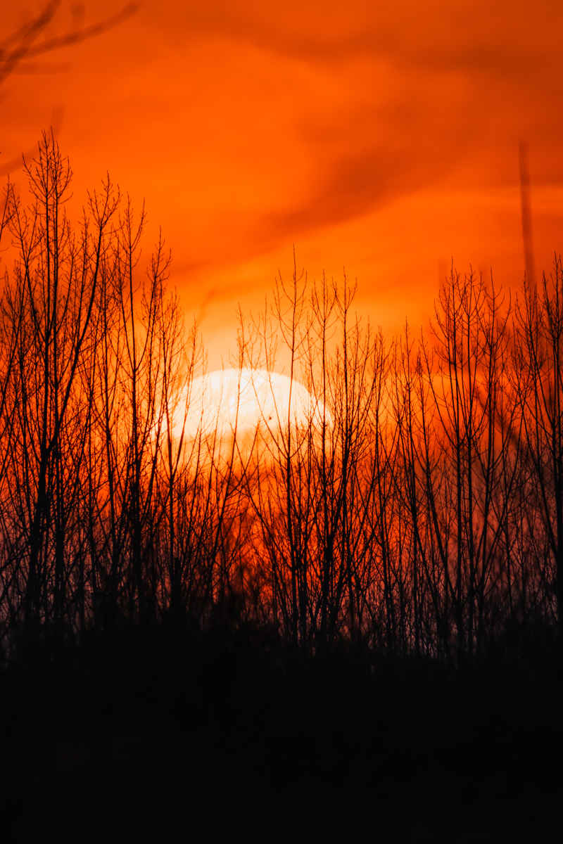夕阳 7