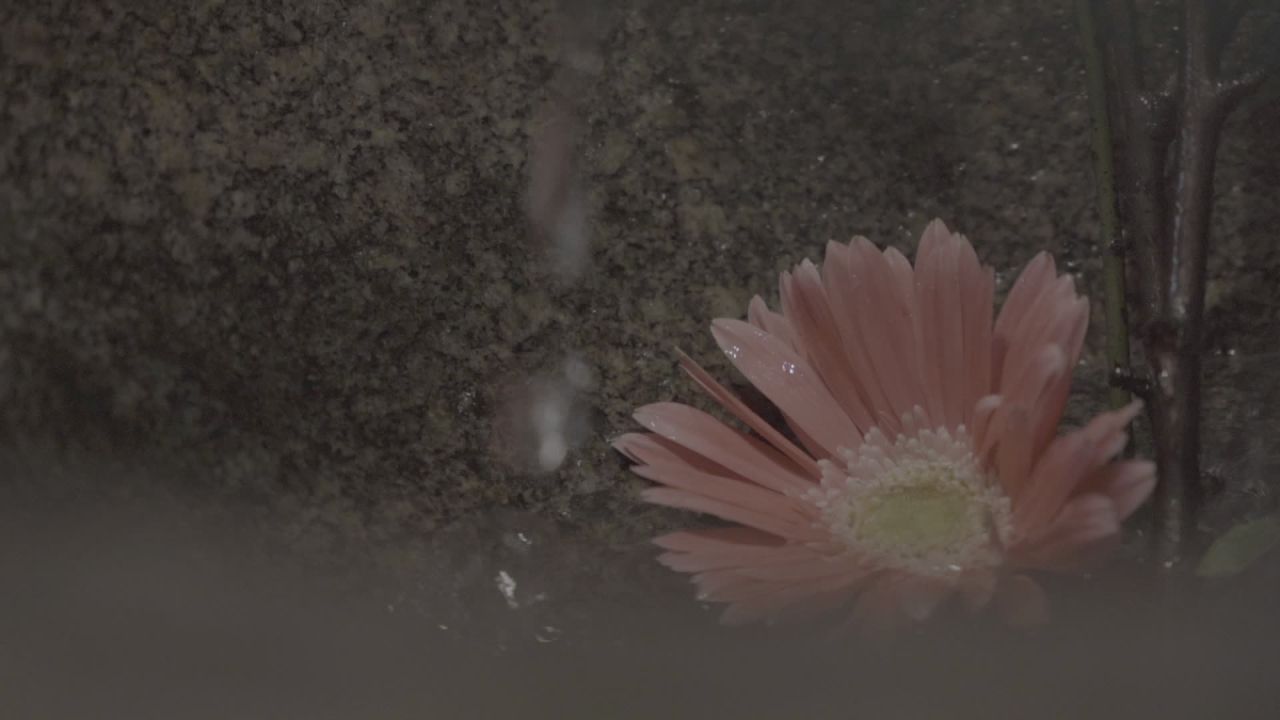 茶馆 18