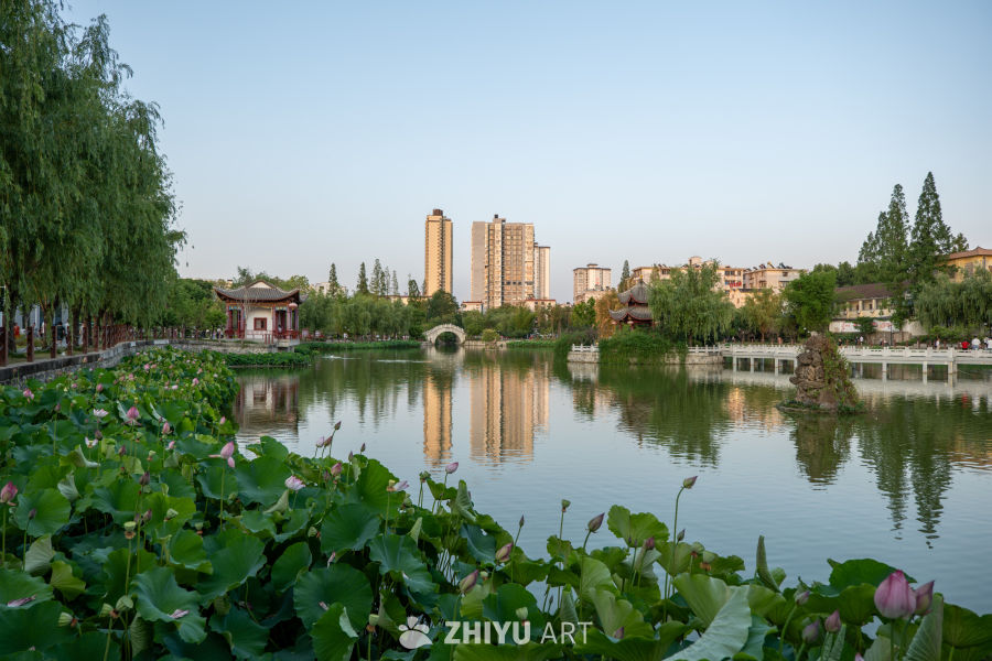 公园一角 3