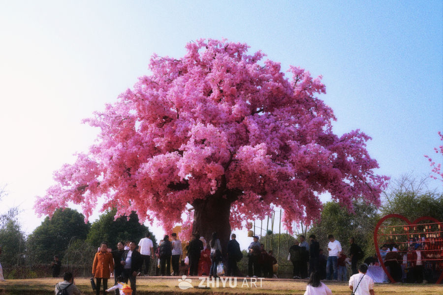 春天与樱花更般配