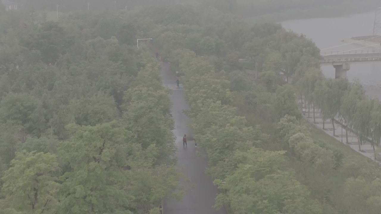 雾中漫步