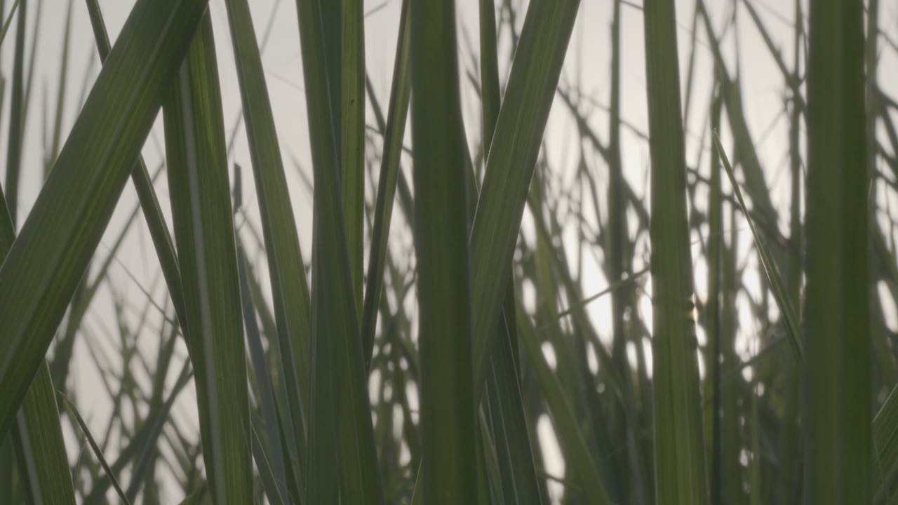 宜昌江边 47