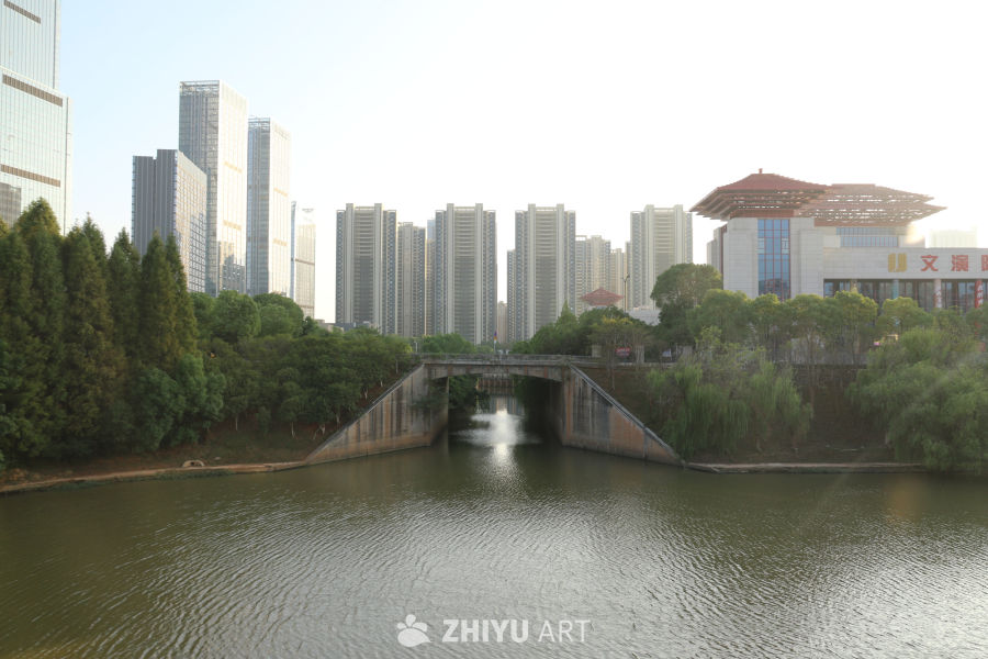 城市河畔的静谧时光
