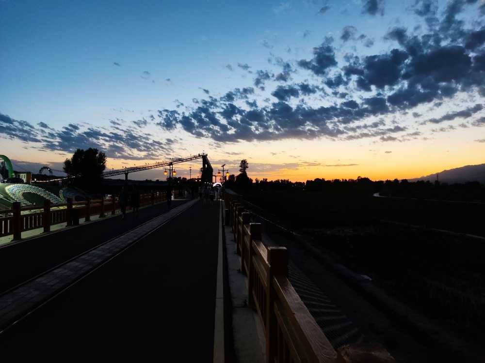 甘肃小城花海日落