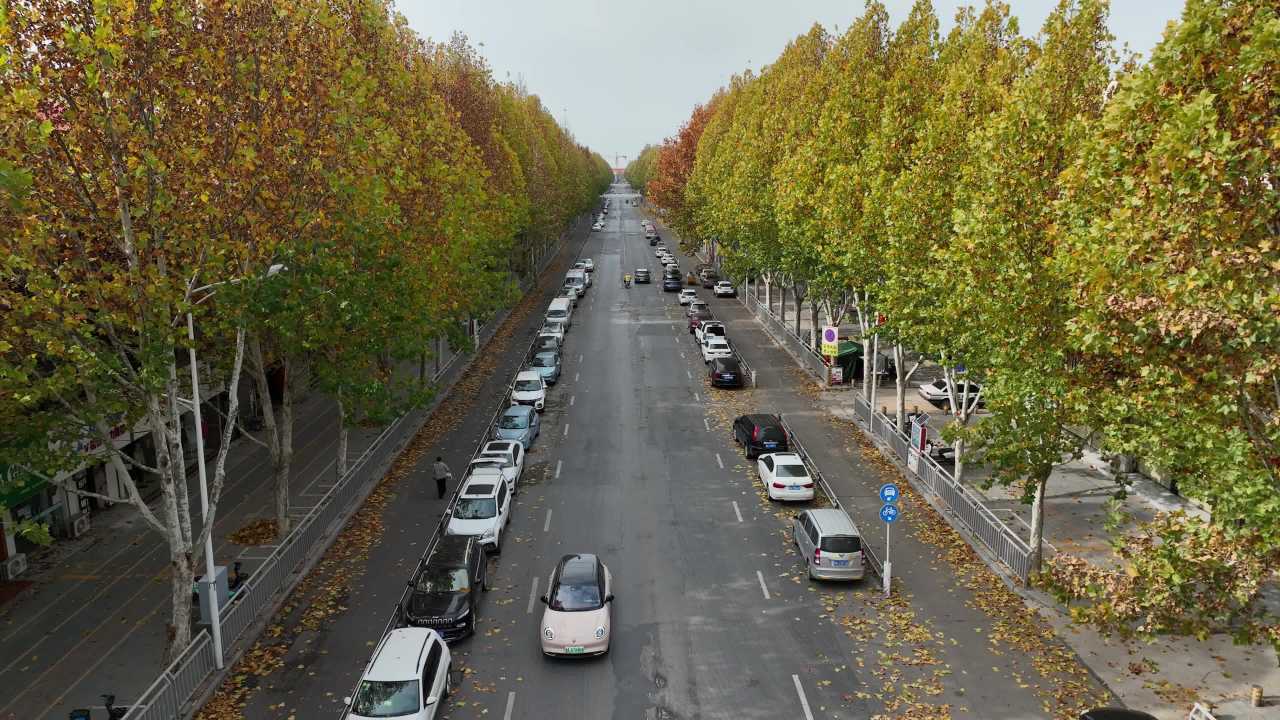秋日城市街道