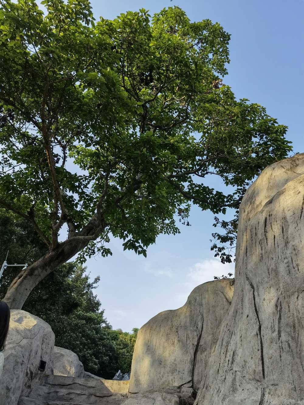 风景