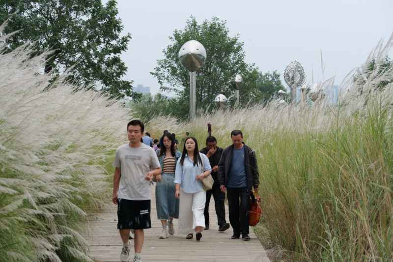 喜迎国庆 国庆 五星红旗迎风飘扬 人与自然 37