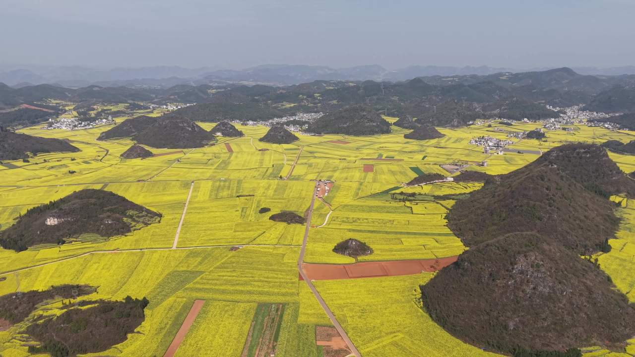 油菜花海与山间村落