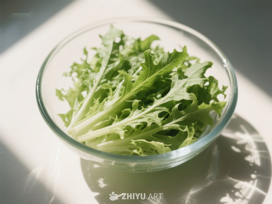 阳光下的新鲜生菜 587