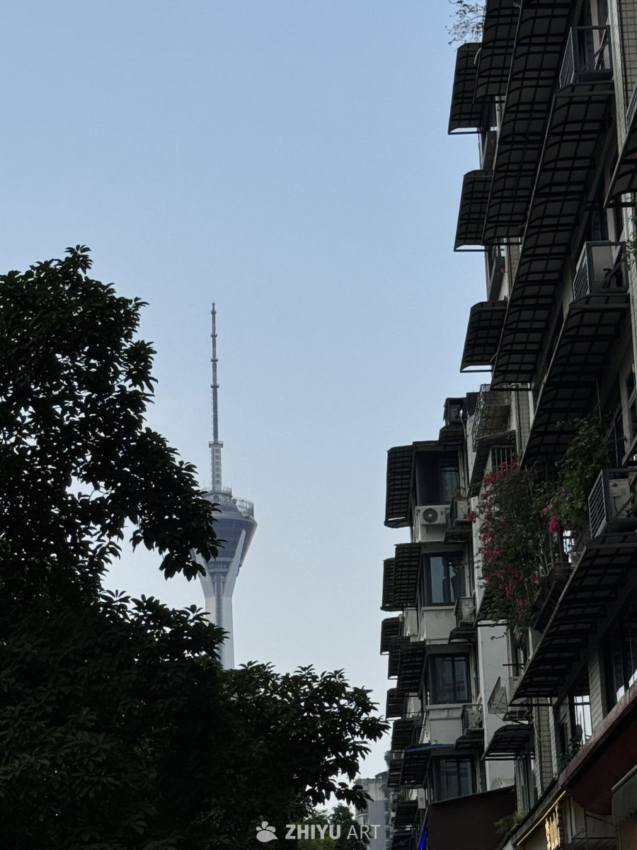 城市一隅：塔与居民楼