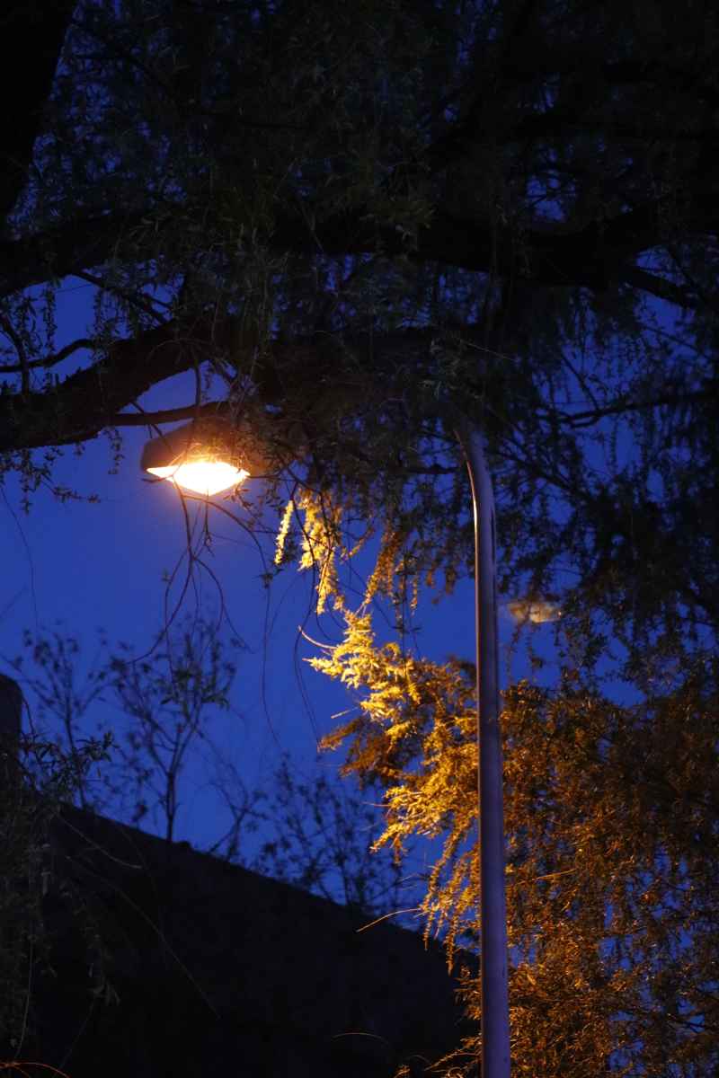蓝黄对比的夜晚街边灯光