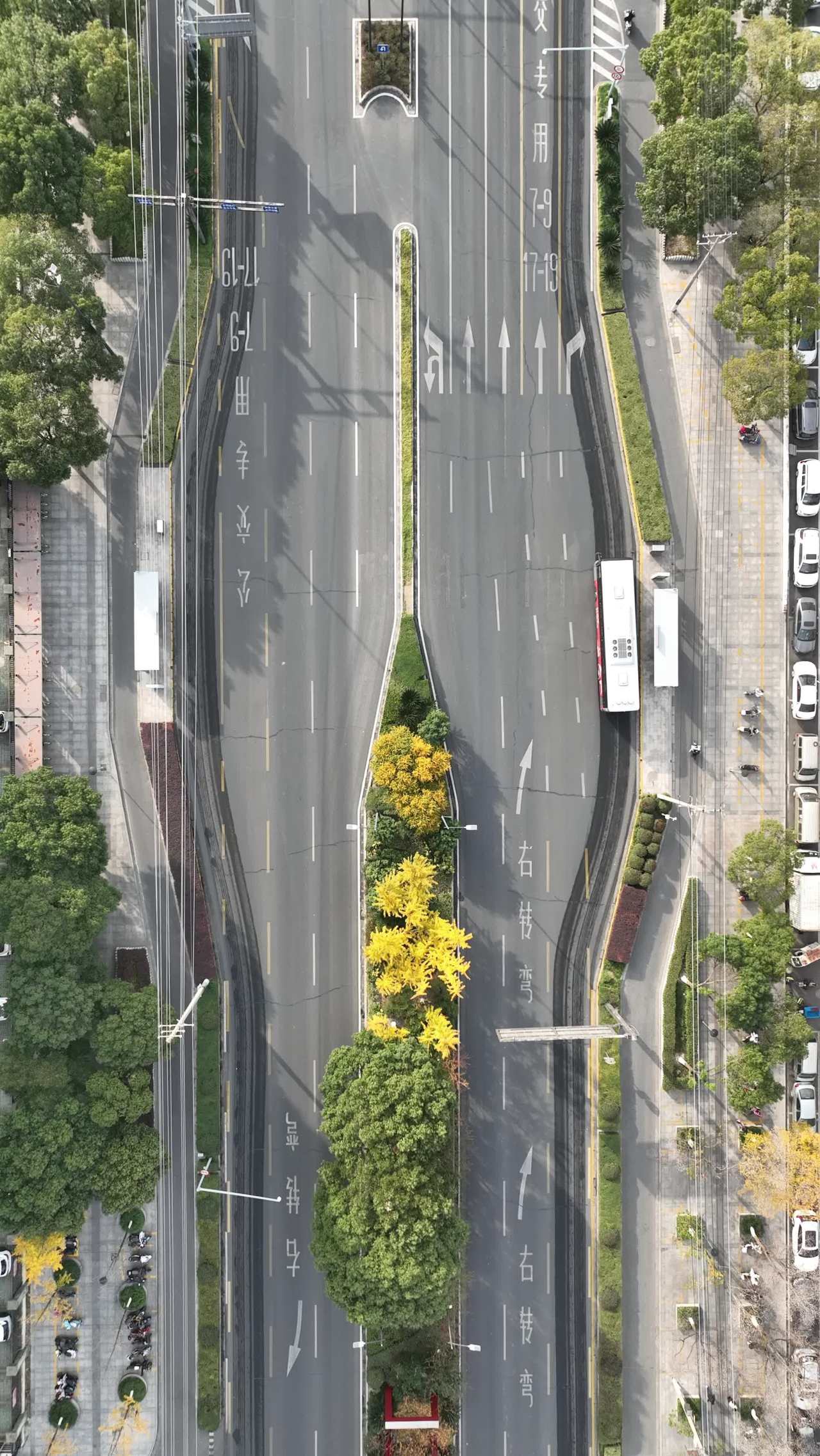 城市道路交通