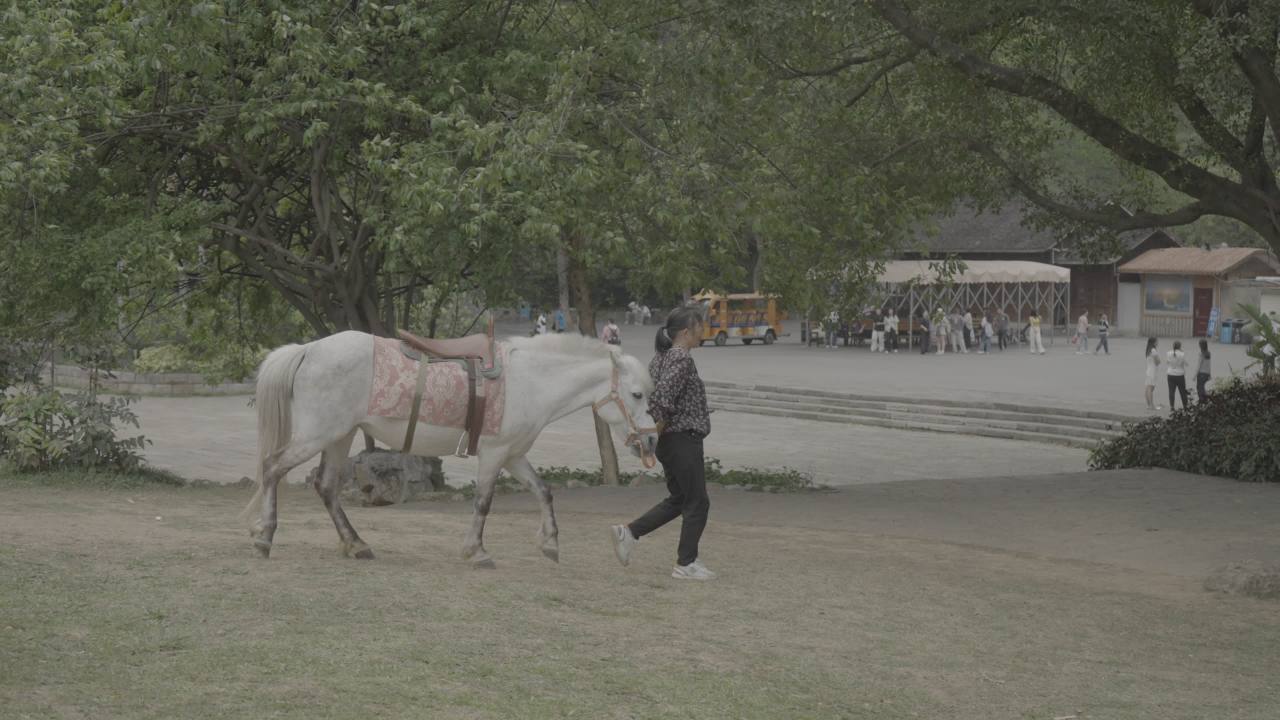 龙潭公园 4
