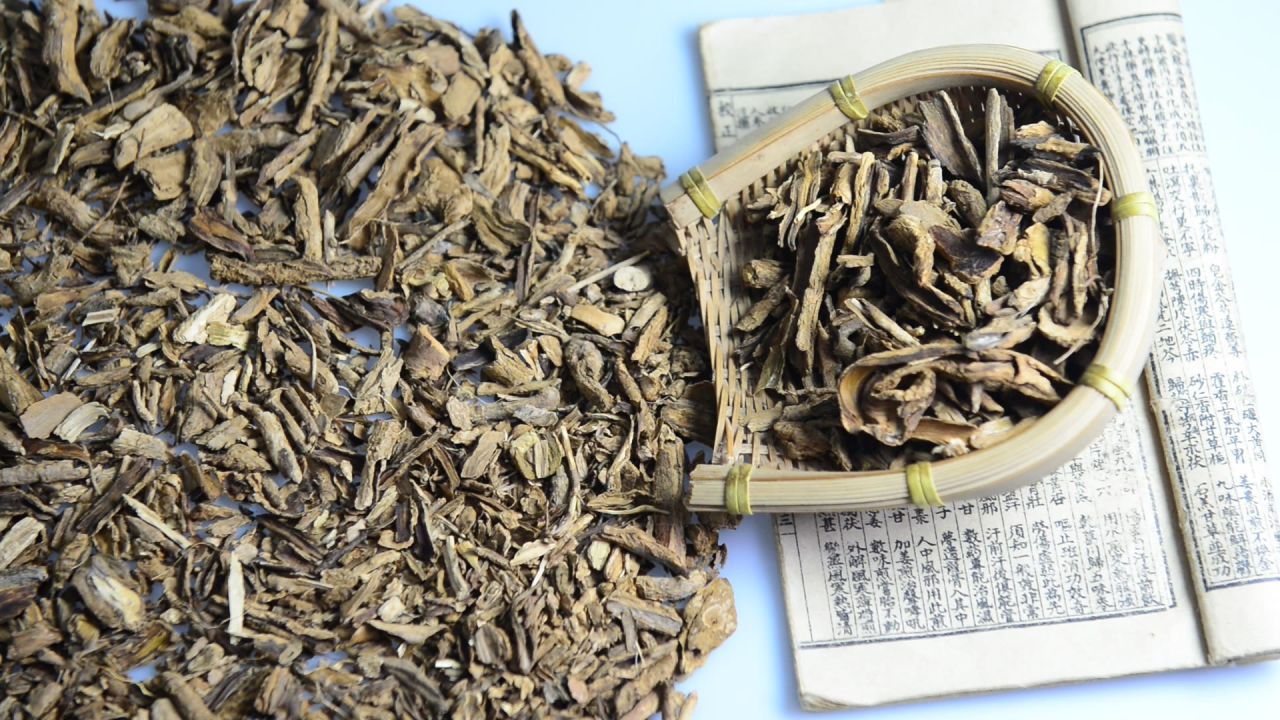中药材地骨皮 13