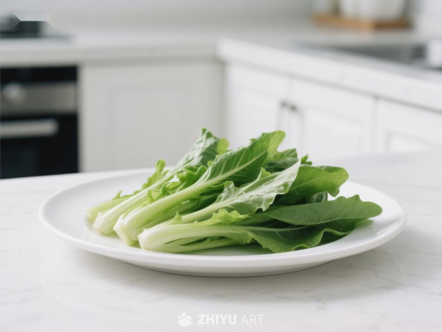 新鲜青菜置于白色盘中 507