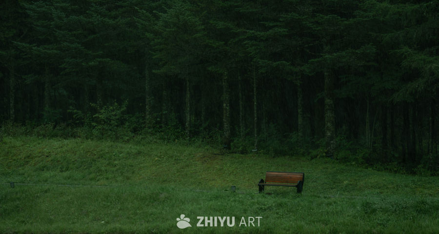 森林中的孤独长椅