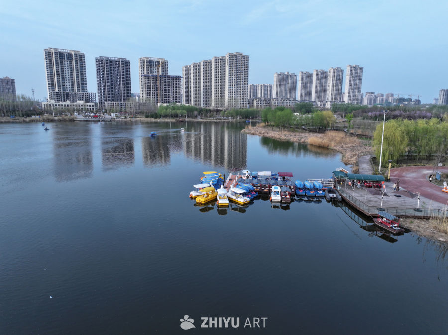 湖畔的城市风景