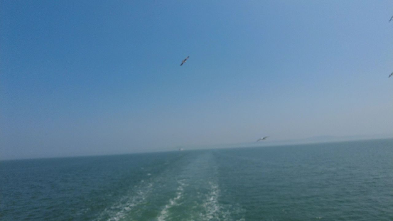 蓝色海洋大海海鸥岛屿浪花风景实拍 