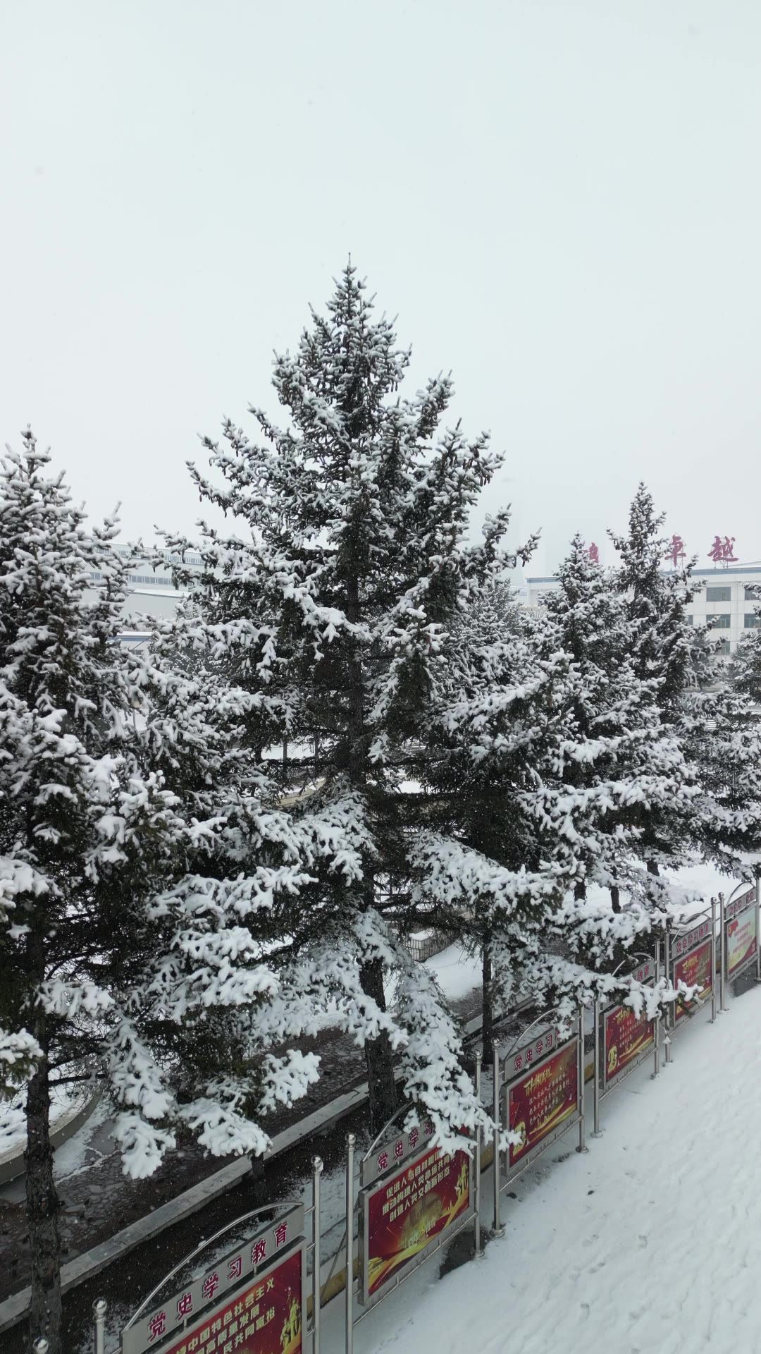 航拍 下雪 雪景 竖屏素材 4