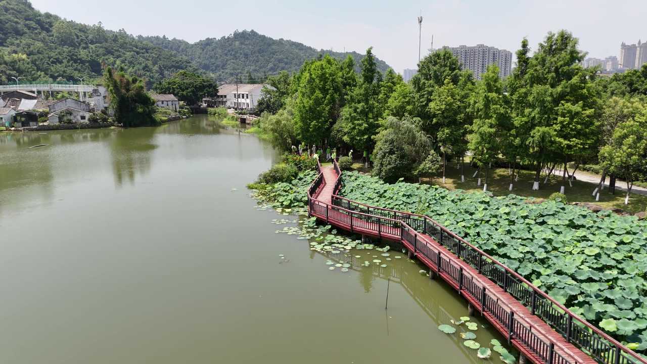 湖畔木栈道漫步