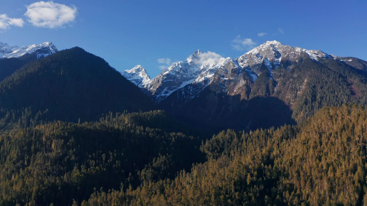 航拍西藏波密森林雪山