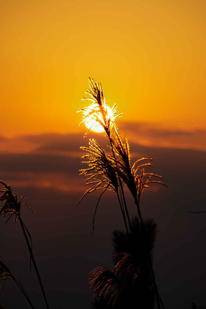 夕阳