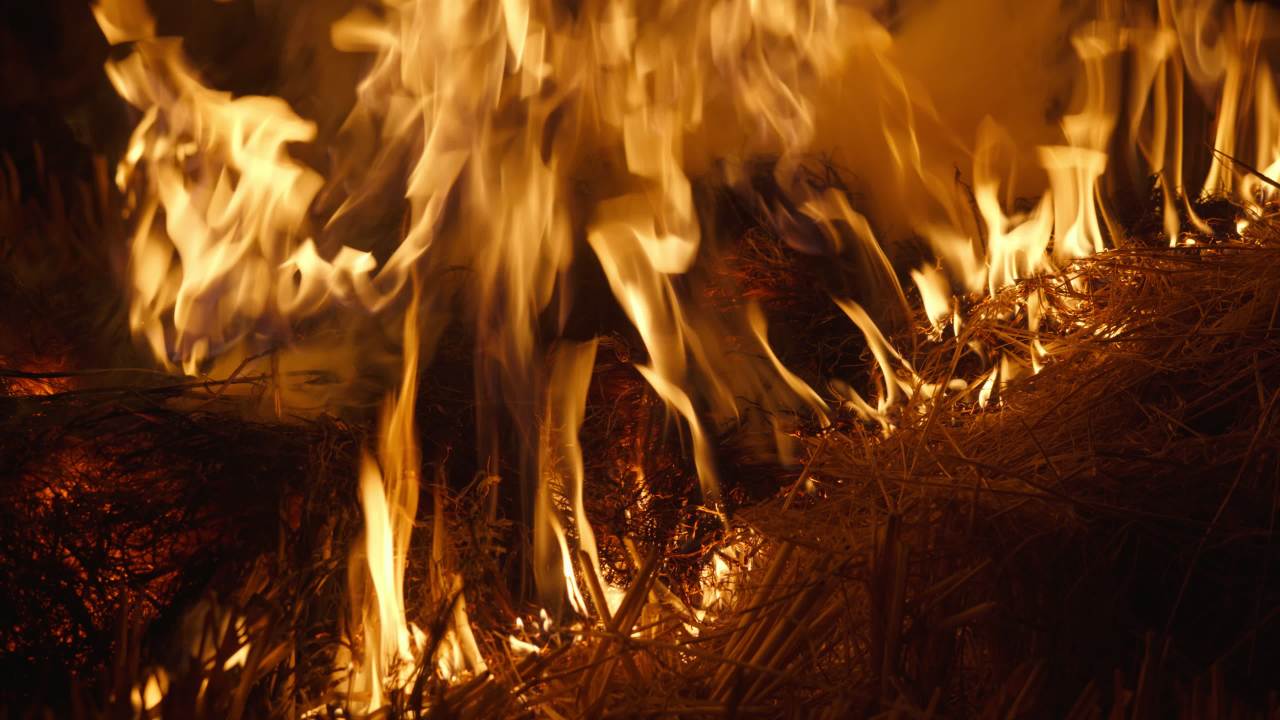 森林大火灾焚烧秸秆火焰燃烧 17