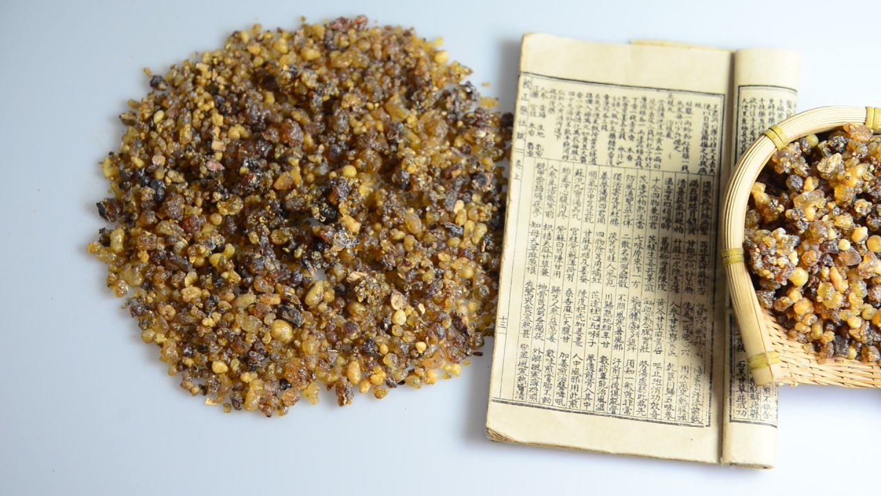 醋乳香中药材 13