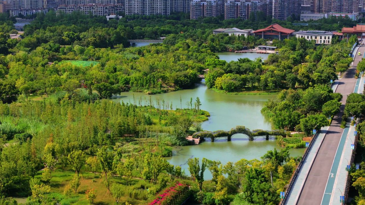 温州三垟湿地 11