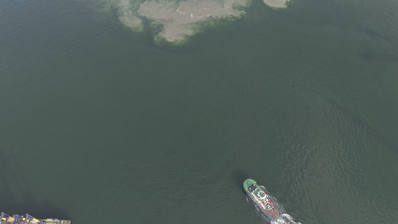 维港 48