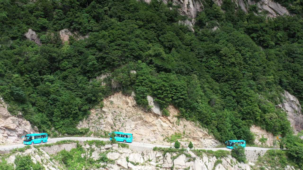 山间绿意行