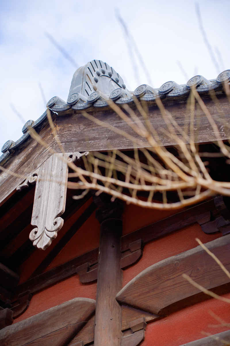 风景