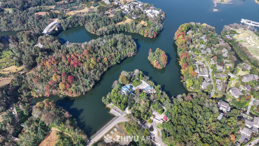 航拍水边枫叶美景  初冬枫叶似火 8