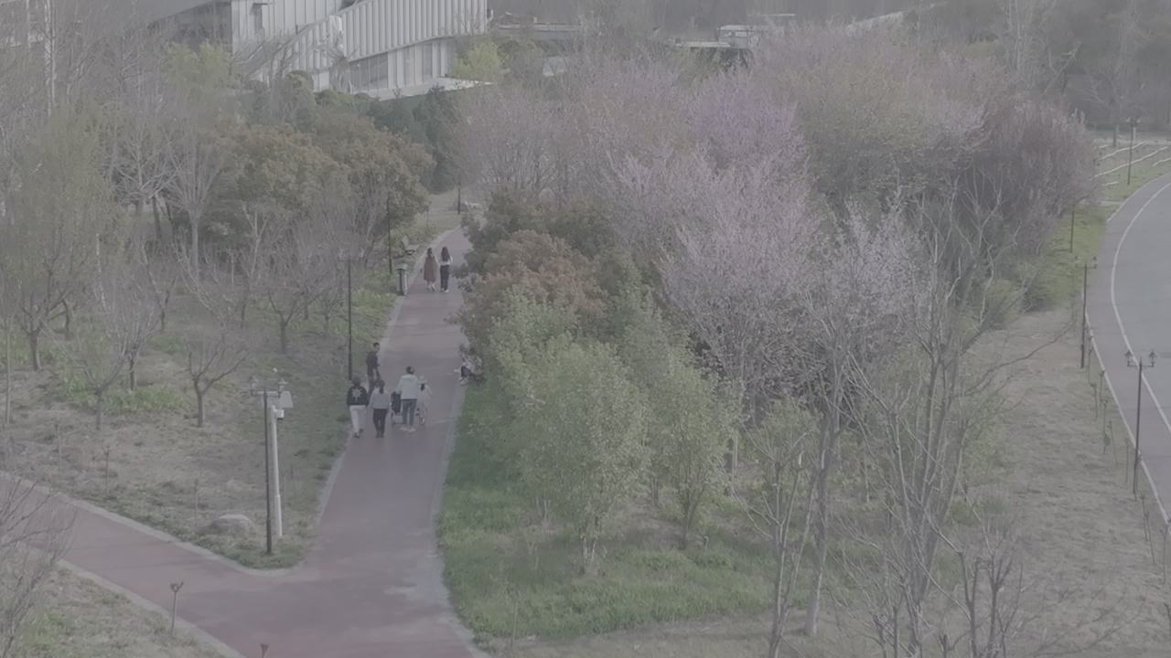 春日公园漫步