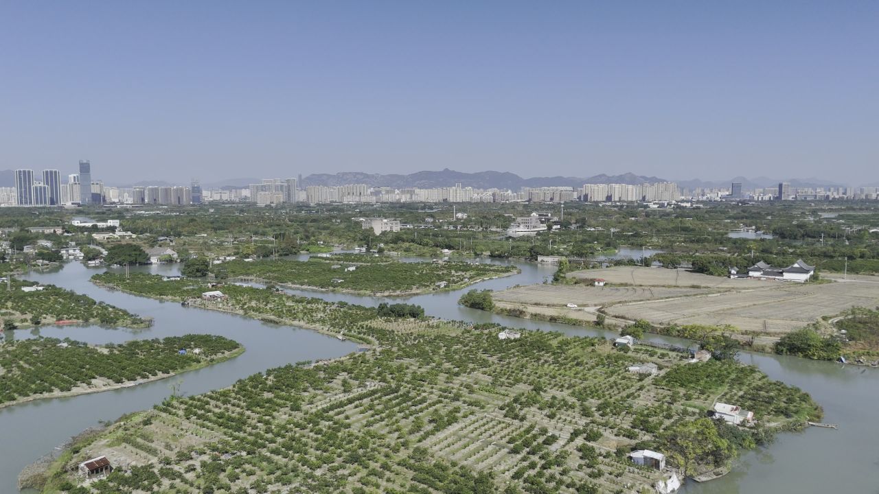 湿地与城市建筑 1