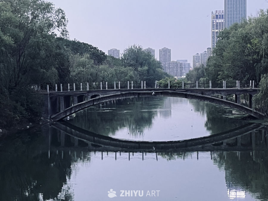 城市中的静谧桥景