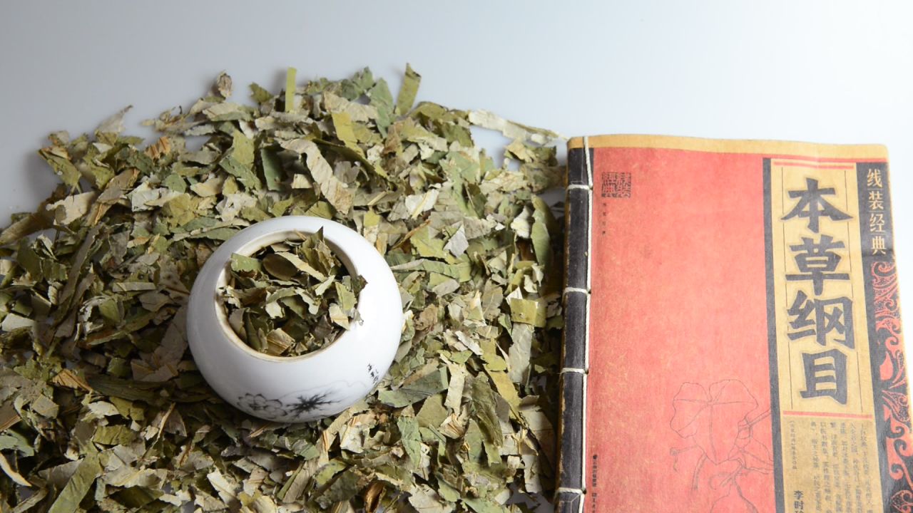 荷叶中药材 3