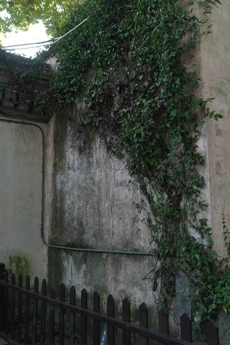绍兴 19