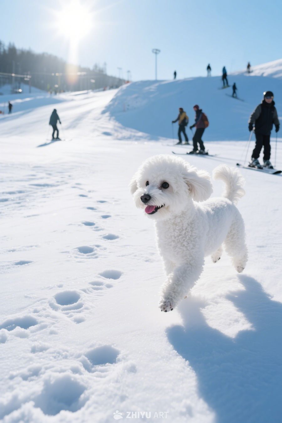 雪天奔跑的狗狗