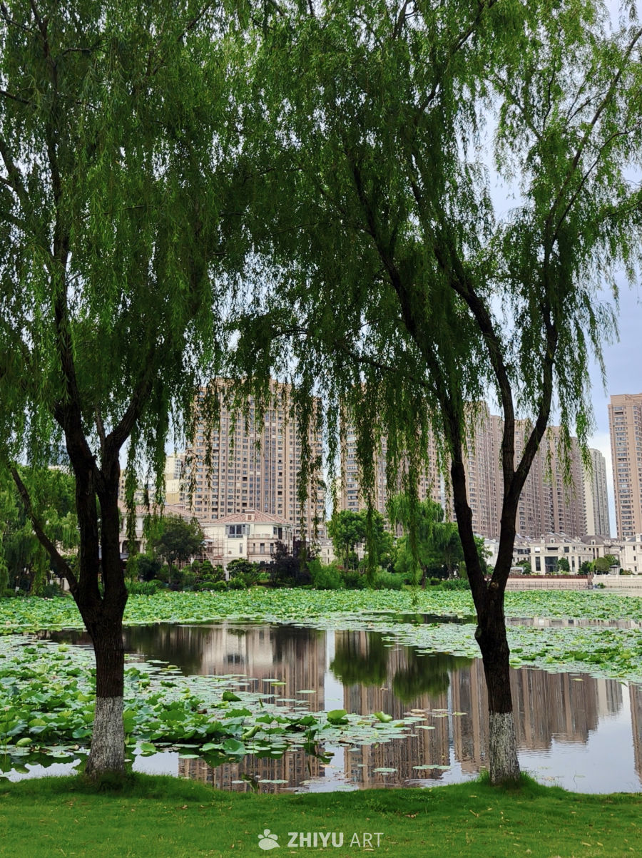 宁静的湖畔家园